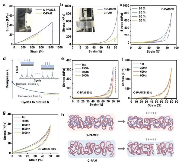 電池頂刊集錦：Nature子刊、AM、AEM、Angew.、AFM、Matter等成果！