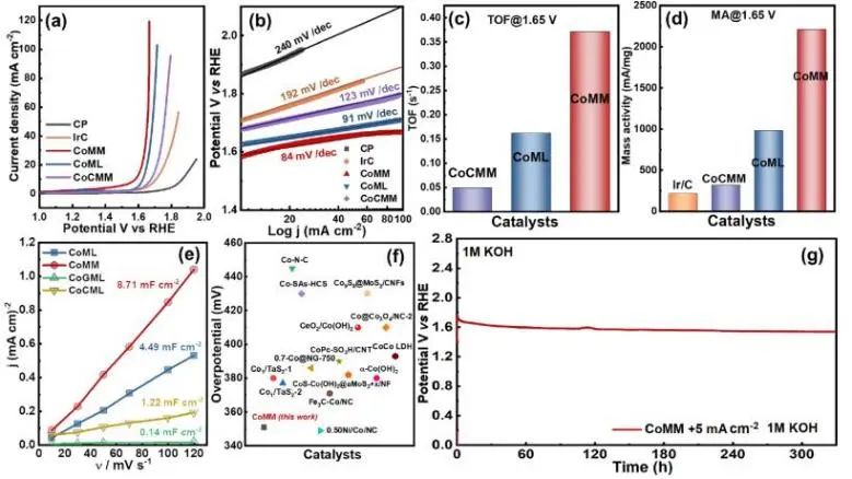 催化頂刊集錦：Nature子刊、JACS、AFM、ACS Catalysis、Nano Energy等