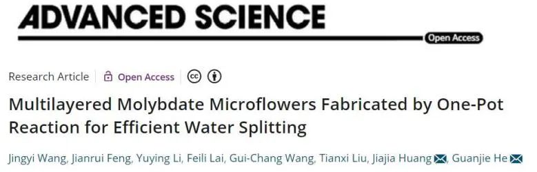 Adv. Sci.: 一鍋法制備高效多層鉬酸鹽微花，有效電催化全水分解