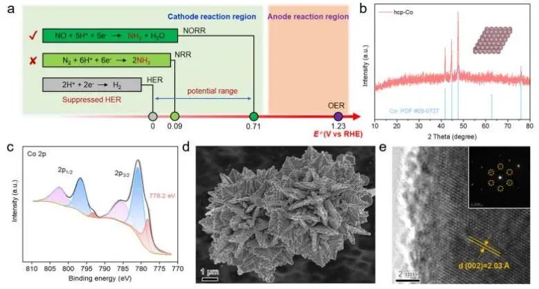 催化頂刊集錦：JACS、AEM、ACS Catalysis、ACS Nano、Small等成果