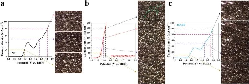 催化頂刊速遞：JACS、AFM、AM、Appl. Catal. B.、CEJ等成果集錦！