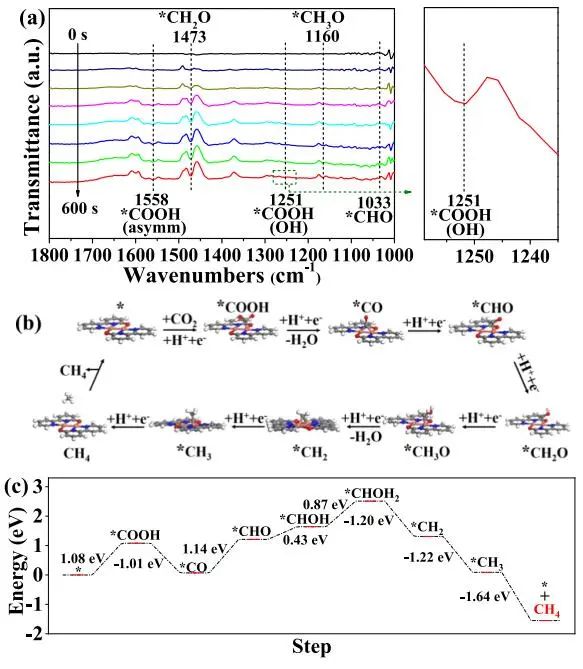 計算文獻速遞：Nature Catalysis、EES、JACS、Chem、EnSM、Nat. Commun.等！