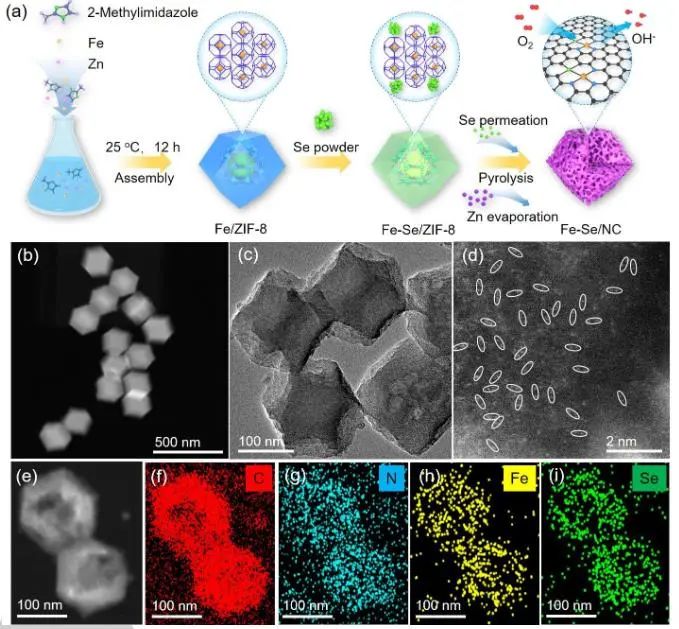 催化頂刊集錦：JACS、Angew.、AEM、ACS Catal.、ACS Energy Lett.、Small等成果