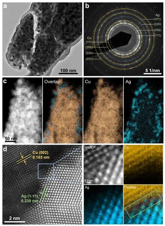 催化頂刊集錦：Nature、JACS、EES、ACS Catal.、ACS Nano、Small等成果精選！