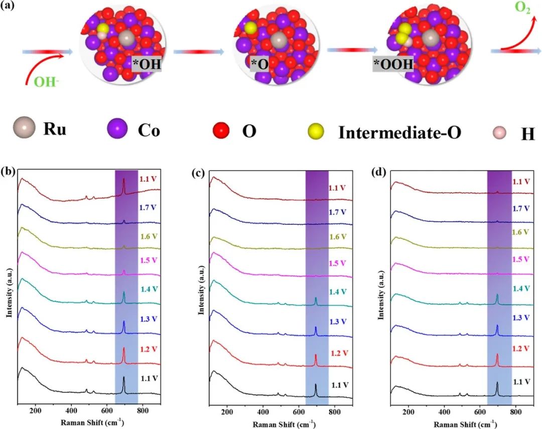 催化頂刊集錦：ACS Catalysis、Small、AFM、JMCA、Nano Letters、ACB等成果