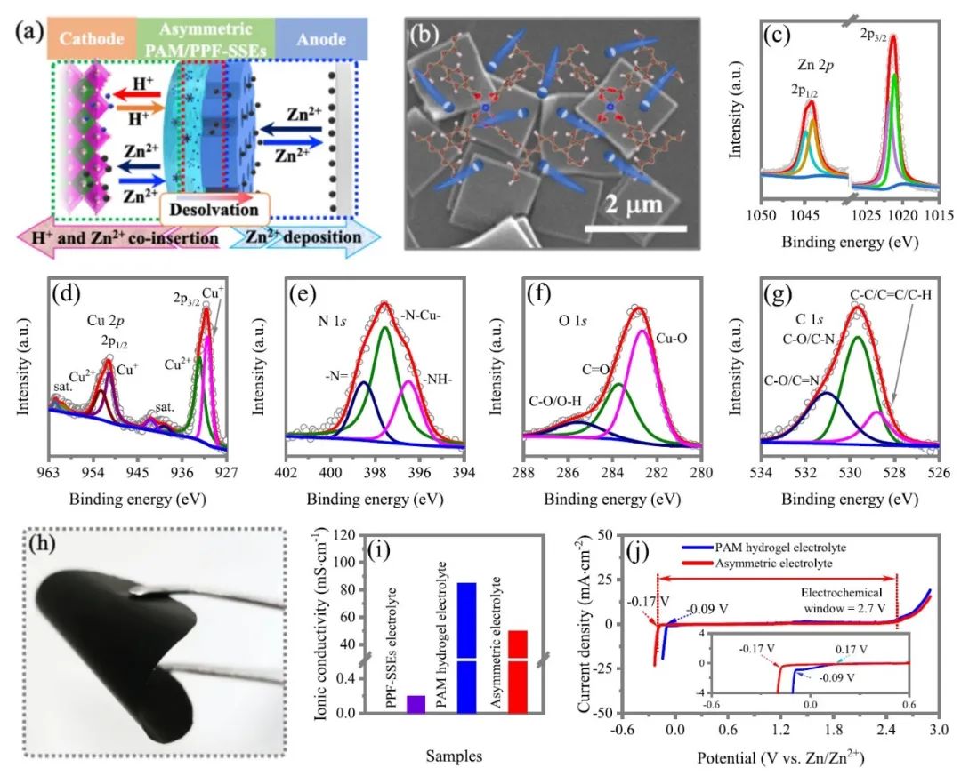 ?支春義教授，最新Nature子刊！