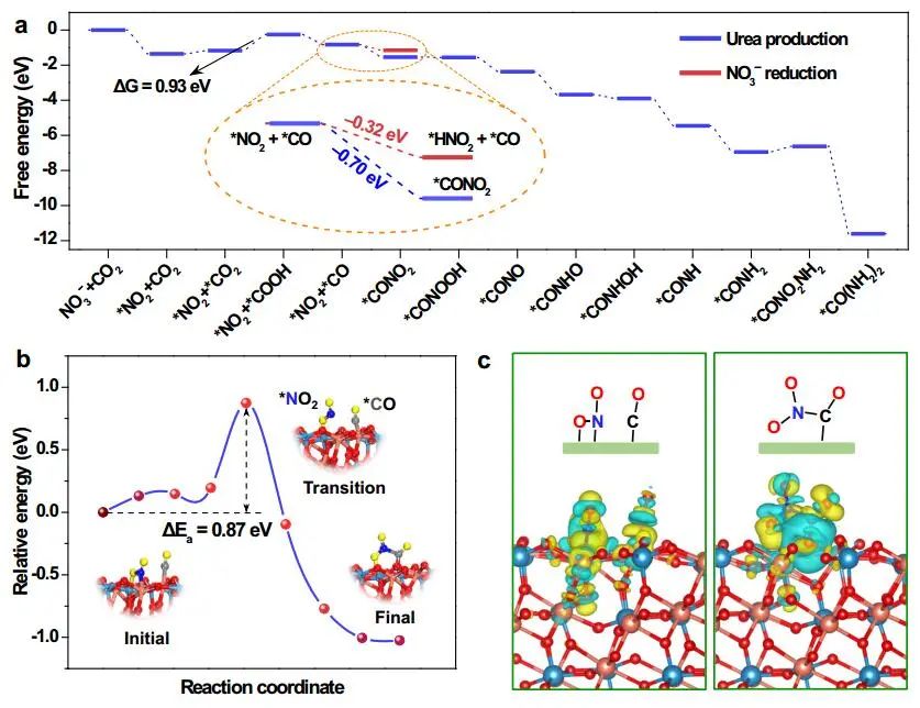 ?大工/西湖大學孫立成院士等Nature子刊：CuWO4電催化CO2和硝酸鹽高效合成尿素