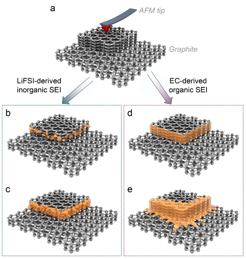 張強(qiáng)教授，最新JACS！