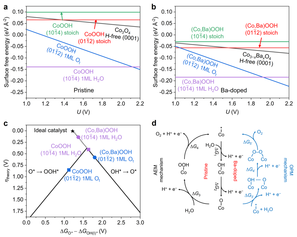 超燃！他，今日發表第16篇Nature Catalysis，第36篇JACS！