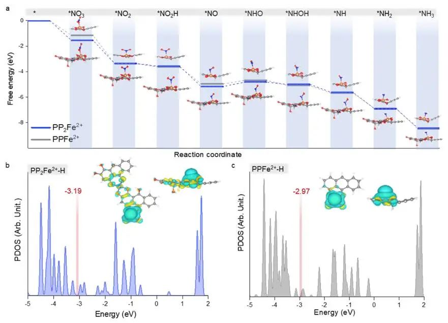 ?浙江大學單冰團隊JACS：近100%選擇性！硝酸鹽電還原制氨