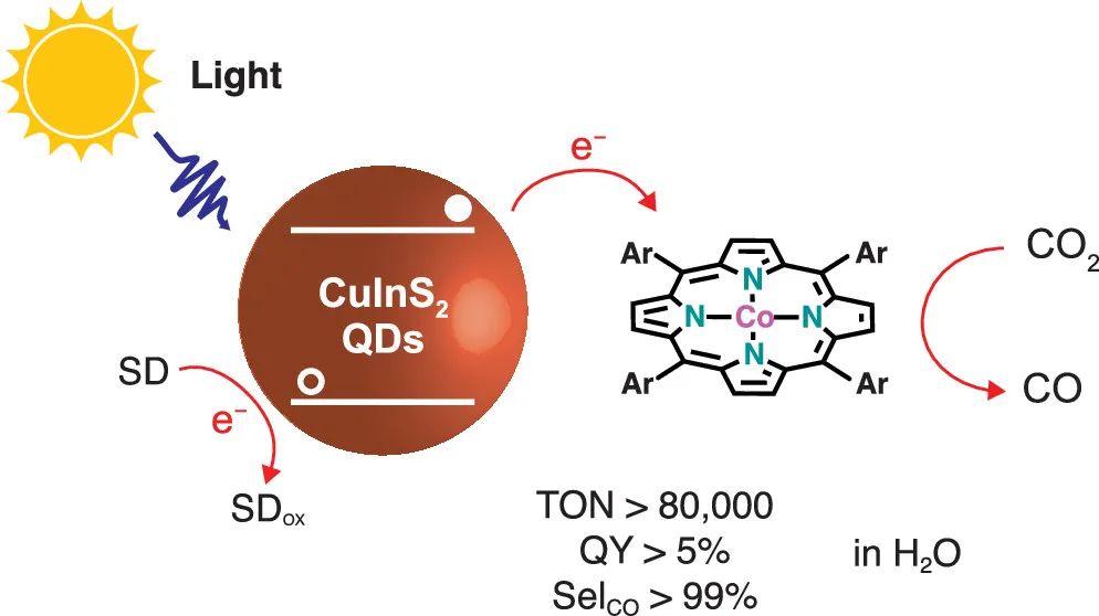 JACS：TON>80000！光敏感QD在水中光還原CO2