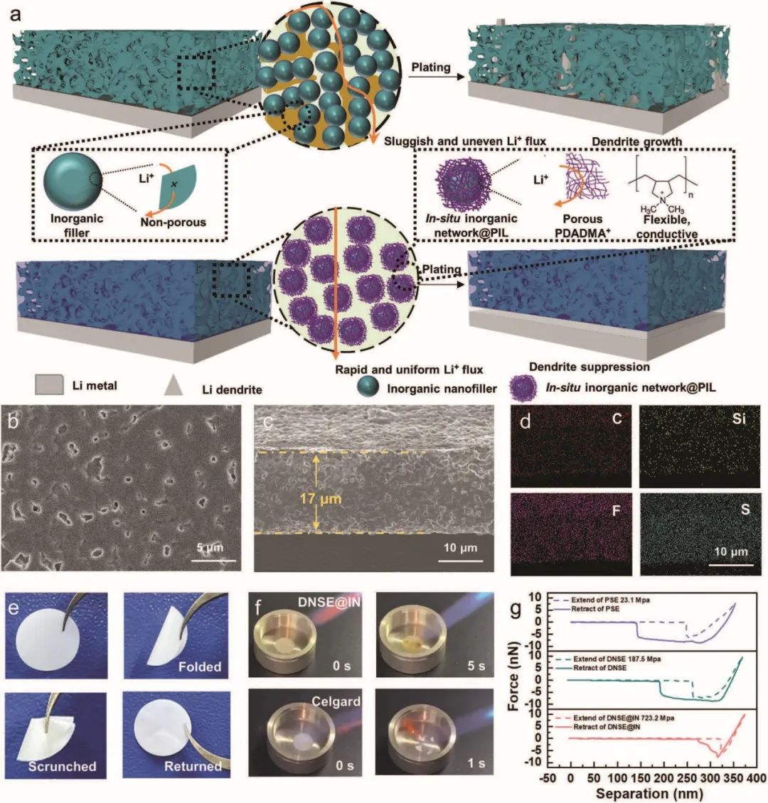 電池頂刊集錦：Nature子刊、Angew、EES、AFM、ACS Energy Lett.、ACS Nano等成果！