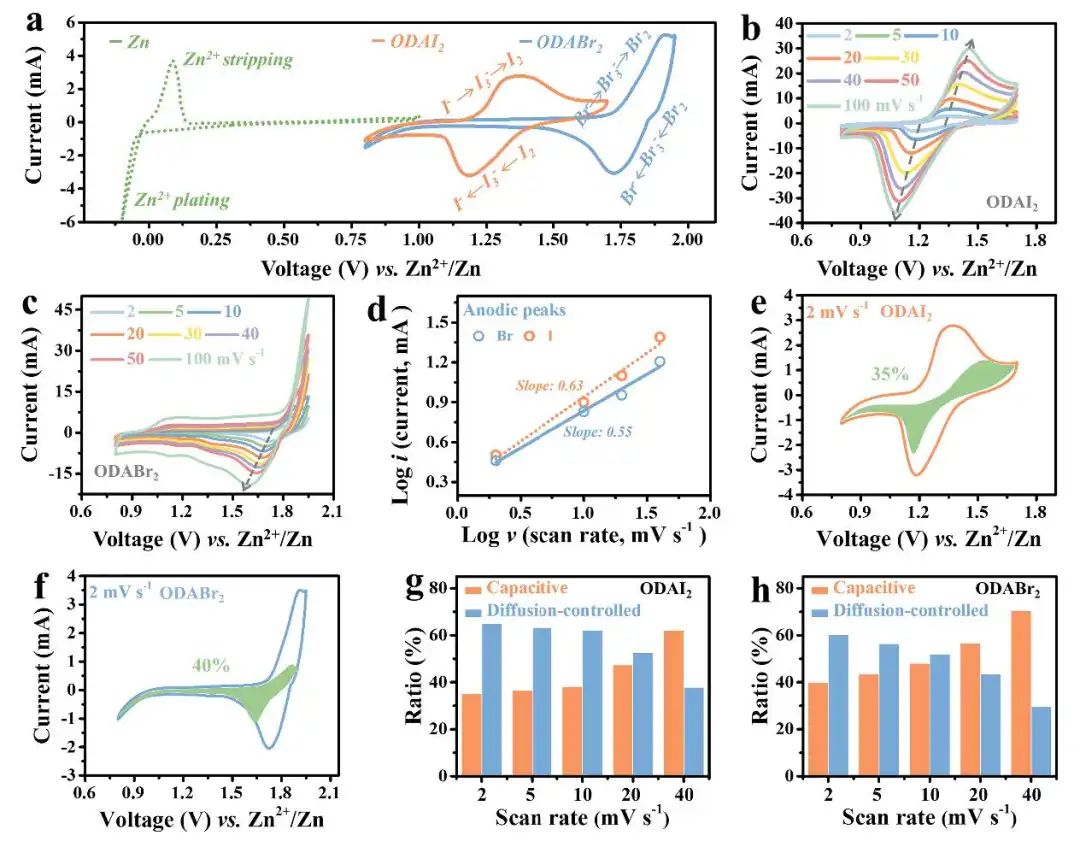 支春義Nano Energy：雙銨鹽正極助力水系鋅離子電池10000次循環！
