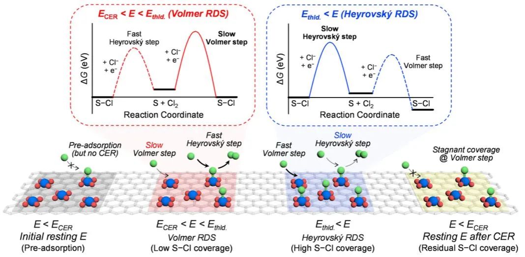 ACS Catalysis：用于析氯反應的原子分散Pt催化劑: 動力學和機制的電位相關轉換