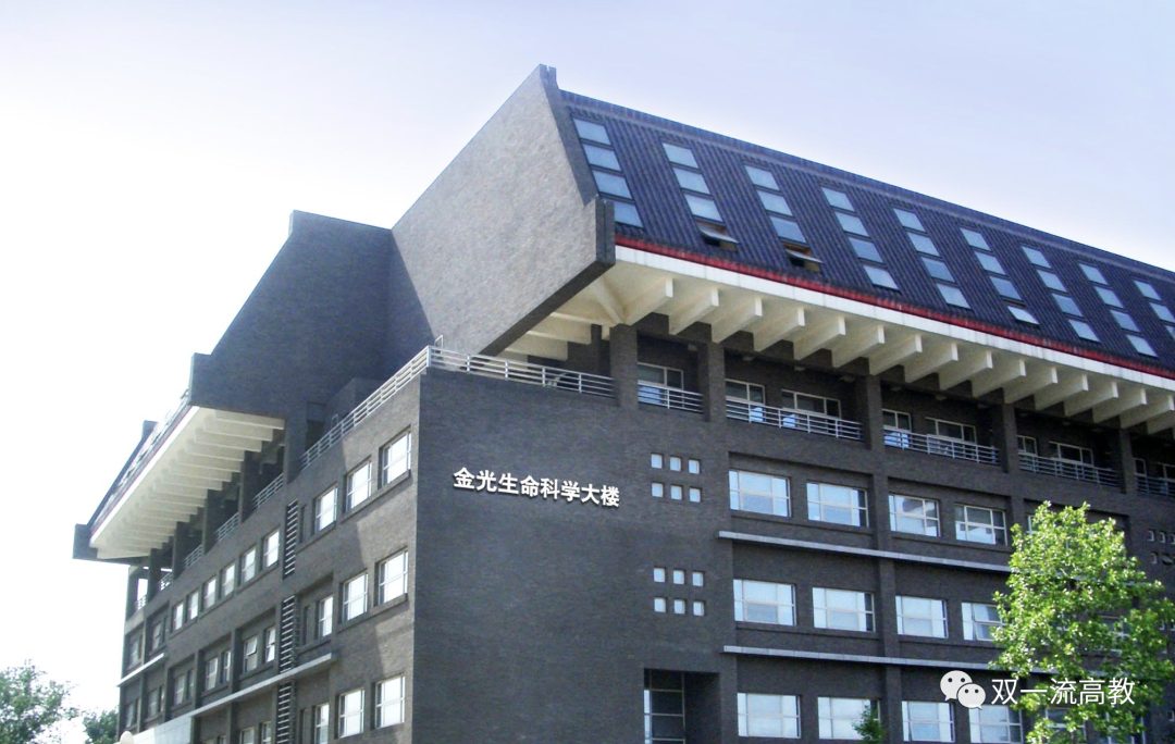 重磅！北京大學，最新任命！