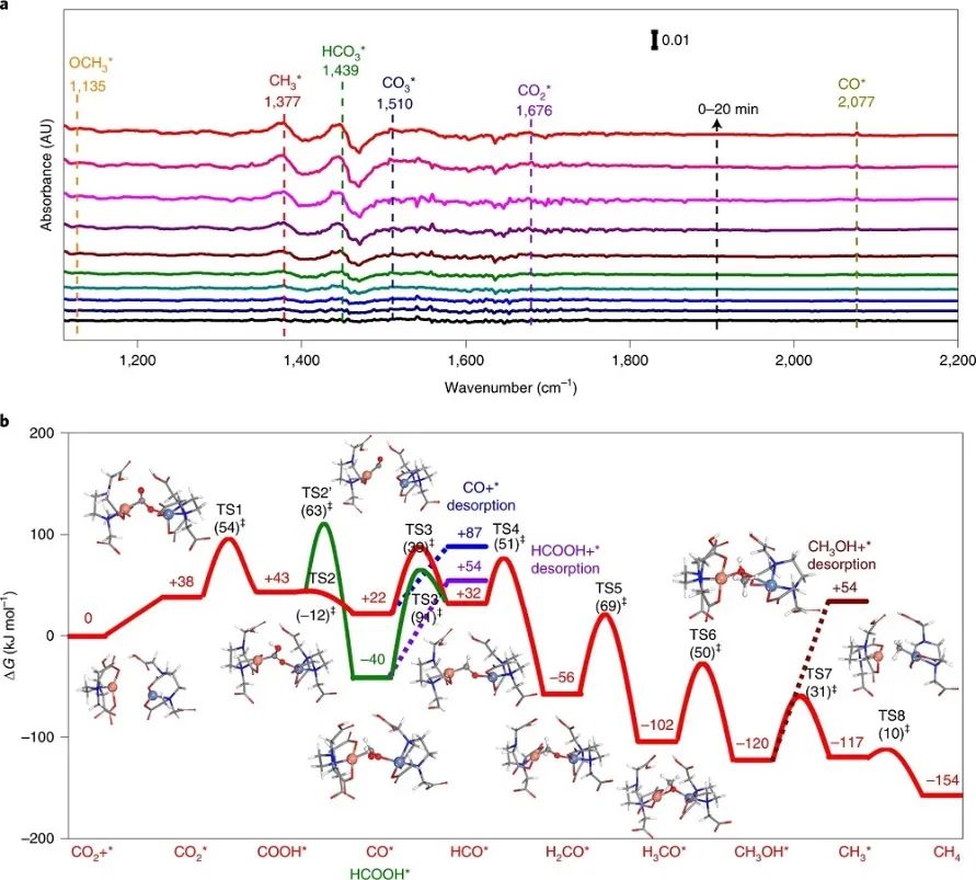 Nature Catalysis：首次報道！MOF基自適應DMSPs光催化CO2為CH4