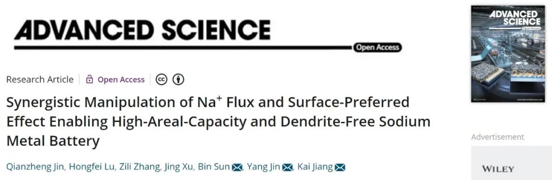 蔣凱/金陽/孫彬Adv. Sci.：三維互穿合金鈉負極實現高面容量無枝晶鈉金屬電池