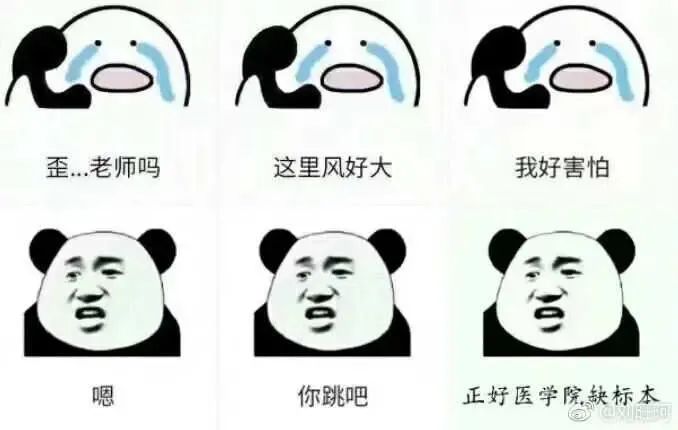 知乎熱議||讀博的壓力究竟有多大？看完，你還會選擇讀博嗎？