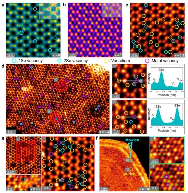催化頂刊集錦：ACS Catalysis、Small、Nano Energy、NML、Appl. Catal. B.等成果