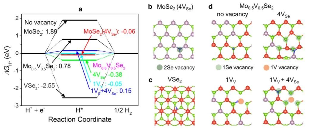 催化頂刊集錦：ACS Catalysis、Small、Nano Energy、NML、Appl. Catal. B.等成果