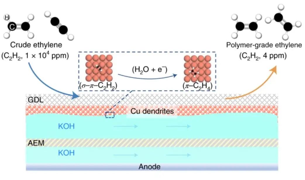 這個團隊就是牛！7天連發Nature Catalysis、JACS、Angew.三篇頂刊