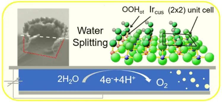 ACS Catalysis：用于酸性水分解的平面單晶氧化物模型電極(RuO2, IrO2)的基礎(chǔ)研究