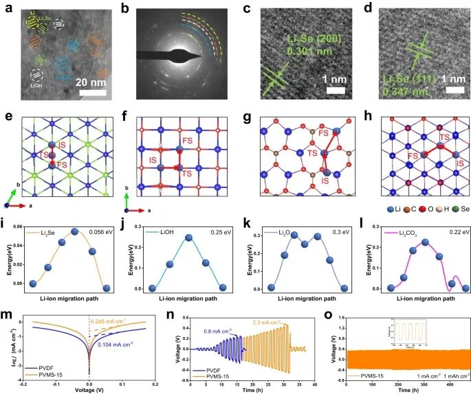 浙大陸盈盈，最新Nature子刊！