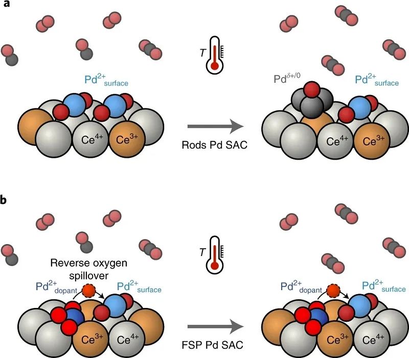 單原子催化領域，再獲一篇Nature Catalysis！