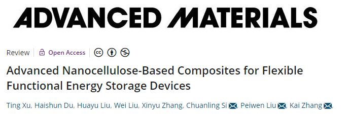 張凱/劉培文/司傳領AM綜述：用于柔性功能儲能設備的先進納米纖維素基復合材料