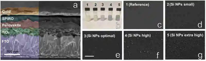 電池頂刊集錦：AFM、AM、ACS Energy Lett.、EnSM、Nano Lett.、Nano Energy等