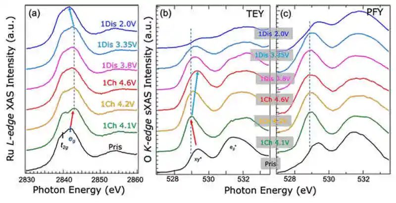 電池頂刊集錦：AFM、AM、ACS Energy Lett.、EnSM、Nano Lett.、Nano Energy等