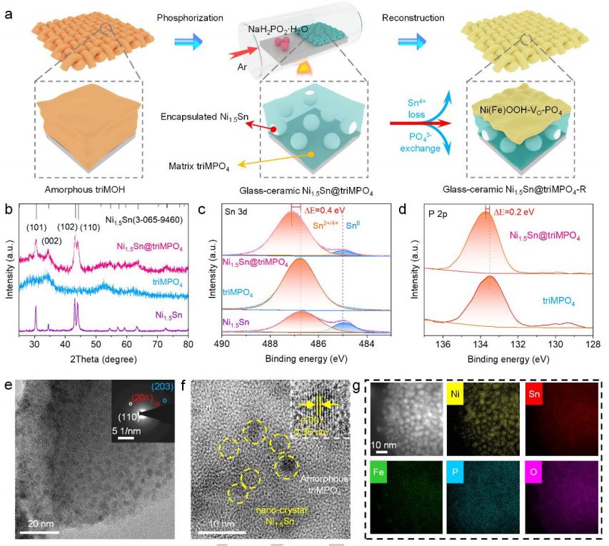 瘋狂收割頂刊！“OER重構(gòu)”大匯總：AFM/Matter/Angew/Nano Energy等