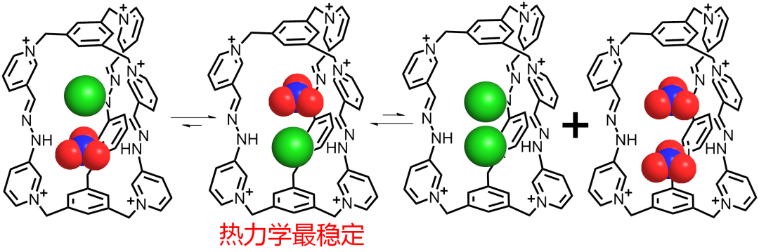 浙江大學李昊研究組JACS：兩個同種電荷的離子到底可以走得多近？