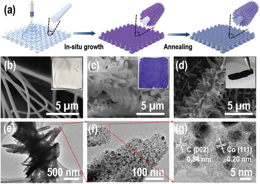電池頂刊集錦：十余家頂級機構聯合署名EES綜述！AFM、Adv.Sci.、EnSM、Nat. Common.等成果