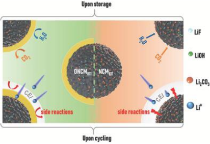 陳忠偉/王新Adv. Sci.：面向極端溫度應用的鋰金屬電池電解質設計