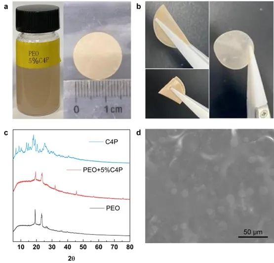 ?AM：柔性的固態(tài)超分子電解質(zhì)，助力全固態(tài)電池1200次循環(huán)！