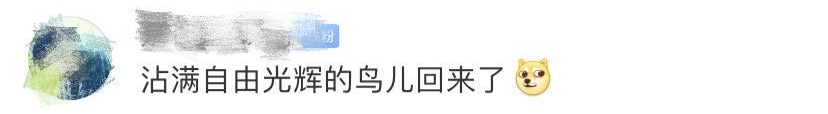 游泳過河，去吃火鍋！“高校版肖申克的救贖”火了，網友評論很上頭...