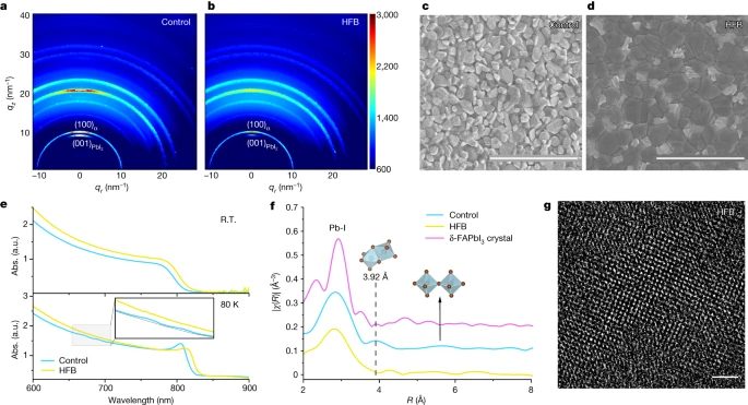 北京大學周歡萍，最新Nature！