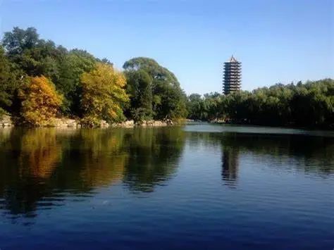 肖清和回母校北大任教！曾因《一個(gè)放牛娃的博士論文后記》火遍網(wǎng)絡(luò)