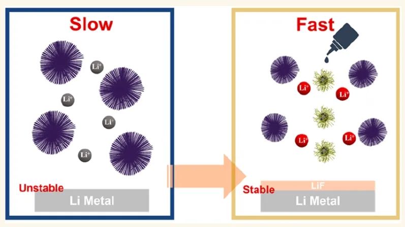 ?中南紀效波ACS Nano：定制Li+動力學和界面氟化以獲得穩定的固體鋰電池
