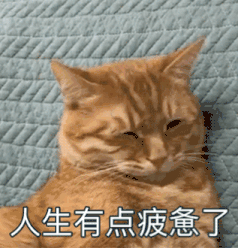 我遭遇讀博延期，女友已評上副教授，還順便當了我的“第二導師”