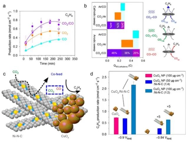 南科大顧均ACS Catalysis: 剖幽析微：基于CO中間體的傳質(zhì)設(shè)計(jì)用于CO2電還原的Cu基串聯(lián)催化劑