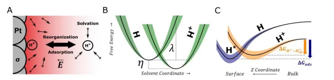 【LAMMPS論文精讀】Nature子刊：溶劑和表面電荷對Pt（111）上的Volmer步驟動力學的影響
