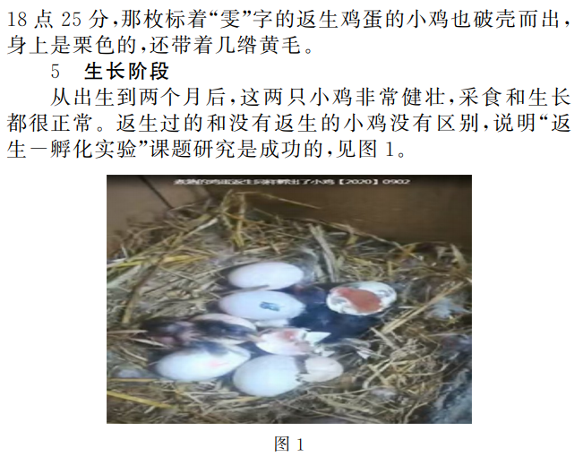 史上最“扯蛋”論文，校長用意念使熟雞蛋孵出小雞！
