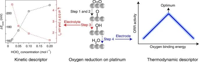 最新Nature Catalysis：電解質對Pt(111)上ORR動力學的影響