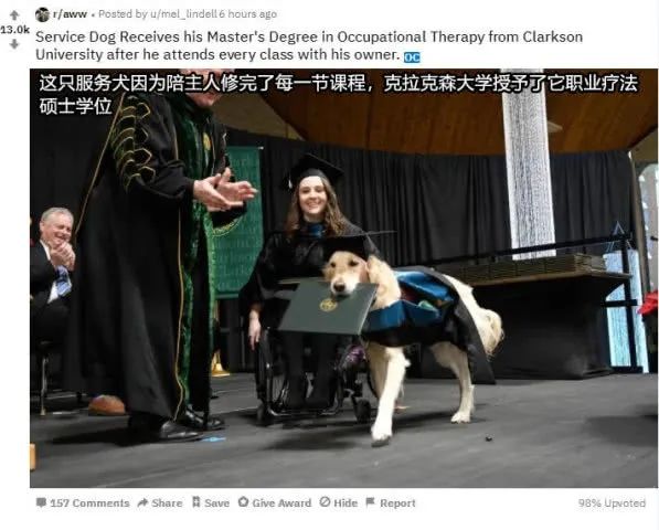 狗狗獲博士學位，貓貓擁有 SCI..