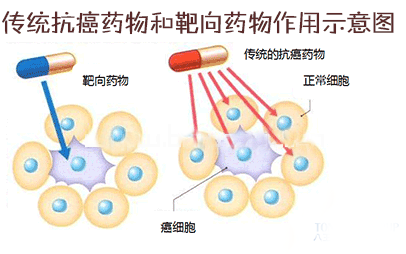 成功率僅0.02%，新冠治療藥物距離上市還有多遠？| DT數說