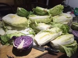 靈魂拷問！為什么PNAS的圖畫得往往沒有Nature、Science精致？