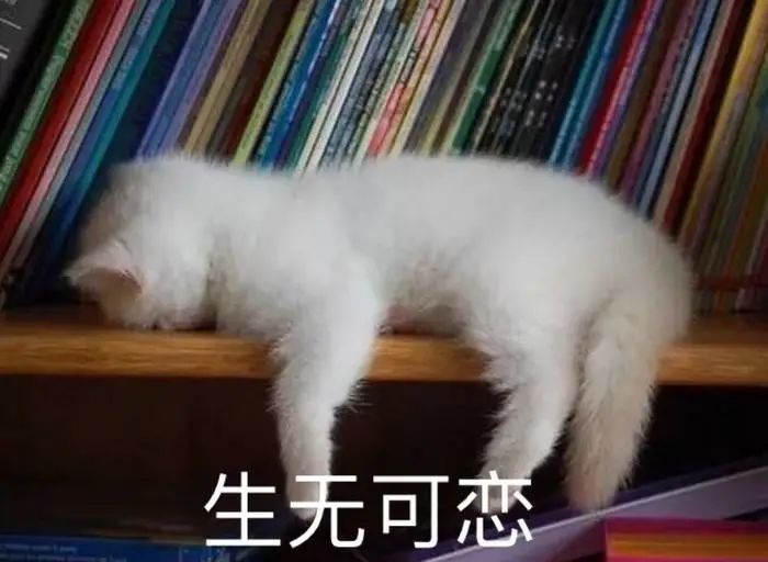 評閱上百篇博士學位論文后發現：博士生發表SCI論文越多，通?？蒲心芰υ讲?！
