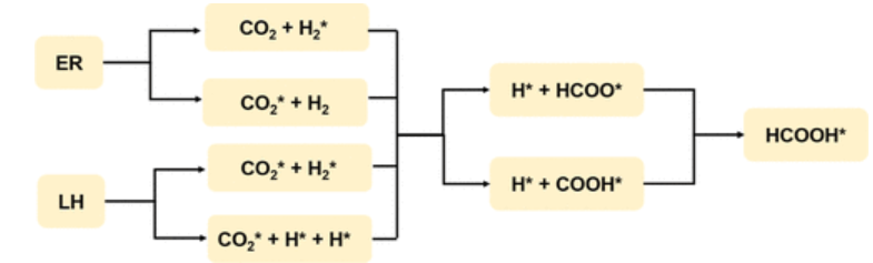 【計算論文精讀】ACS ANM: 石墨烯負載錫單原子催化劑用于CO2加氫制HCOOH